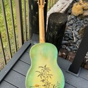 1930 National Polychrome Triolian Resonator