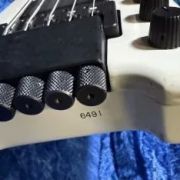 1989 Steinberger XL-2 5-String Bass
