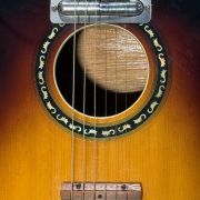 1960 Coral by Danelectro Vincent Bell Combo