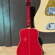 1970 Gibson Dove