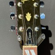 1970 Gibson Dove