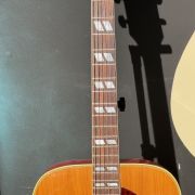 1970 Gibson Dove