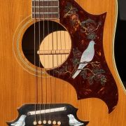 1970 Gibson Dove