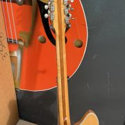 1965 Rickenbacker 360/12 12-string
