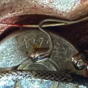 2003 Gibson Les Paul Custom R7 ’57 Reissue