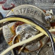 1973 Fender Jazz Bass