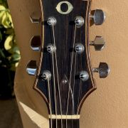 1980 James Olson Dreadnaught