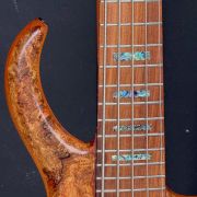 2020 Warrior DM 5 String NAMM # 9 Bass