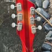 1970 Rickenbacker 381
