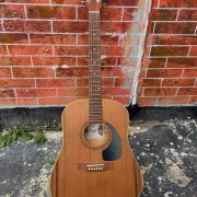 2020 Art & Lutherie Cedar Dreadnaught