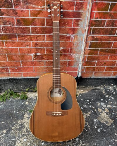 2020 Art & Lutherie Cedar Dreadnaught