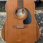 2020 Art & Lutherie Cedar Dreadnaught