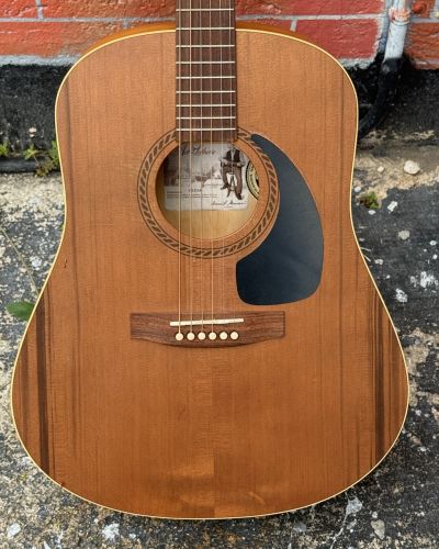 2020 Art & Lutherie Cedar Dreadnaught