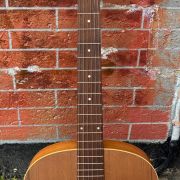 2020 Art & Lutherie Cedar Dreadnaught