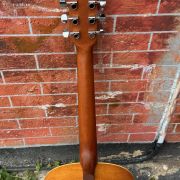 2020 Art & Lutherie Cedar Dreadnaught