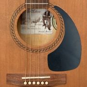 2020 Art & Lutherie Cedar Dreadnaught