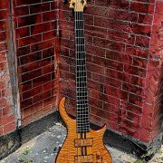2020 Warrior DM 5 String Bass
