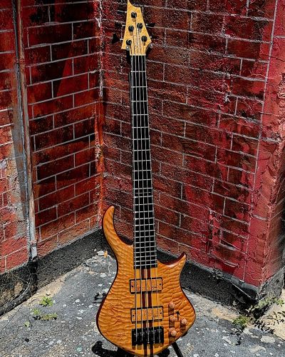 2020 Warrior DM 5 String Bass