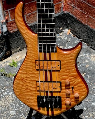 2020 Warrior DM 5 String Bass