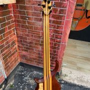 2020 Warrior DM 5 String Bass
