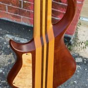2020 Warrior DM 5 String Bass