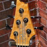 2020 Warrior DM 5 String Bass