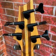 2020 Warrior DM 5 String Bass