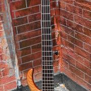 2020 Warrior DM 5 String Bass