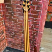 2020 Warrior DM 5 String Bass