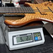 2020 Warrior DM 5 String Bass