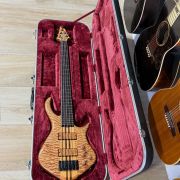 2020 Warrior DM 5 String Bass