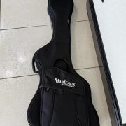 2021 Marleaux Diva # 069 5-String Fretless Bass