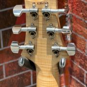 2018 PRS Custom 24 “Wood Library” Edition