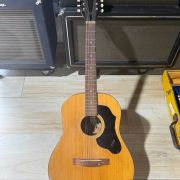 1969 Hofner Model 490 12-String