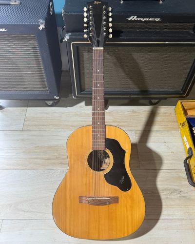 1969 Hofner Model 490 12-String
