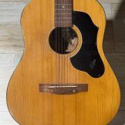 1969 Hofner Model 490 12-String