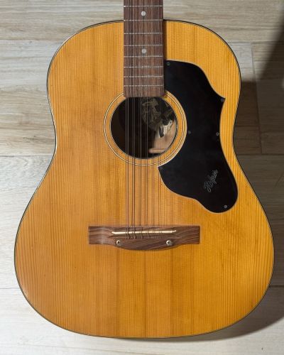 1969 Hofner Model 490 12-String