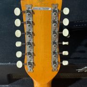 1969 Hofner Model 490 12-String
