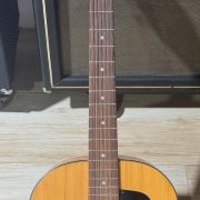 1969 Hofner Model 490 12-String