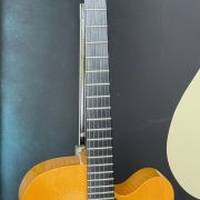 2006 Martin CF-1 American Archtop