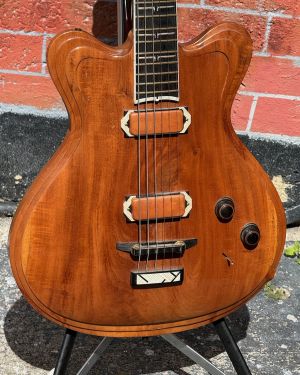 1995 Jesselli Guitars Compact Art Nouveau Tiered Hollow-body