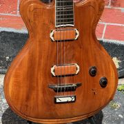 1995 Jesselli Guitars Compact Art Nouveau Tiered Hollow-body