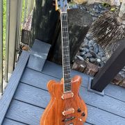 1995 Jesselli Guitars Compact Art Nouveau Tiered Hollow-body