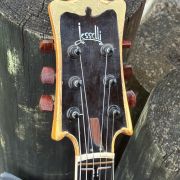 1995 Jesselli Guitars Compact Art Nouveau Tiered Hollow-body