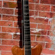 1995 Jesselli Guitars Compact Art Nouveau Tiered Hollow-body