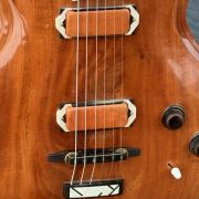 1995 Jesselli Guitars Compact Art Nouveau Tiered Hollow-body