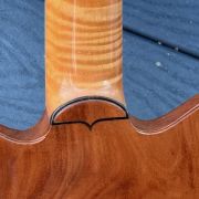 1995 Jesselli Guitars Compact Art Nouveau Tiered Hollow-body