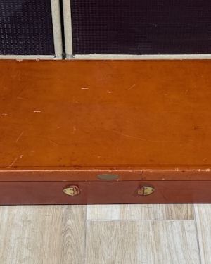 1995 Jesselli Guitars Compact Art Nouveau Tiered Hollow-body
