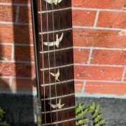 2006 PRS Modern Eagle “Brazilian Neck” Ltd. Run