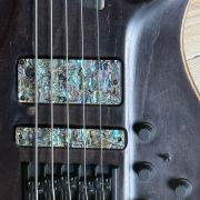 2020 Warrior Isabella 5-String Bass